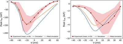 Tailoring Mathematical Models to Stem-Cell Derived Cardiomyocyte Lines Can Improve Predictions of Drug-Induced Changes to Their Electrophysiology